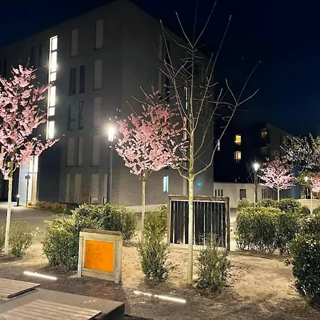 At A Prime Location - Near Messe *